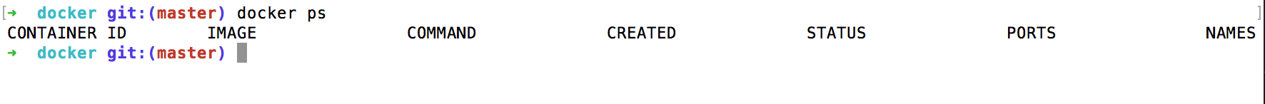 docker-ps-command