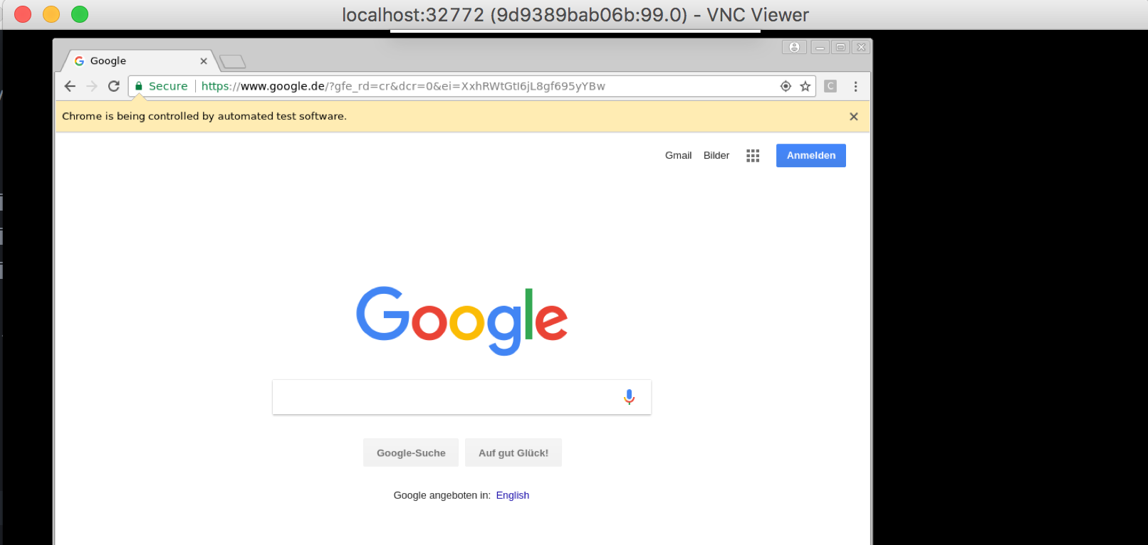 vnc-view-browser-open-docker